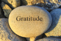 Choose Gratitude Anyway